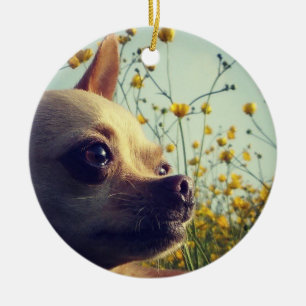 Personalized chihuahua double sided ceramic ornament