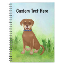 Personalized Chocolate Lab Mix