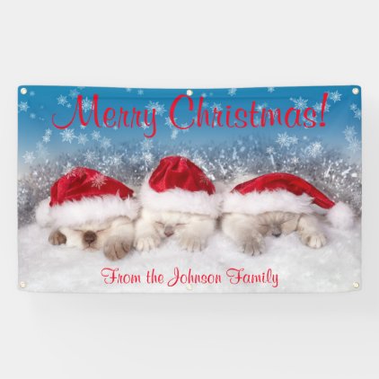 Personalized Christmas Banner Kittens Santa Hats