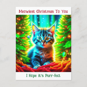 Personalized Christmas Kitten and Happy New Year Postcard