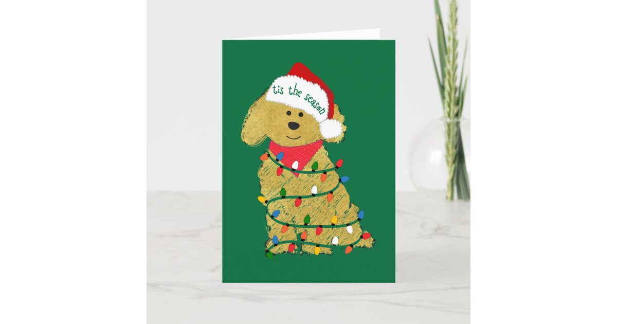 Personalized Christmas Lights Goldendoodle Holiday Card Zazzle