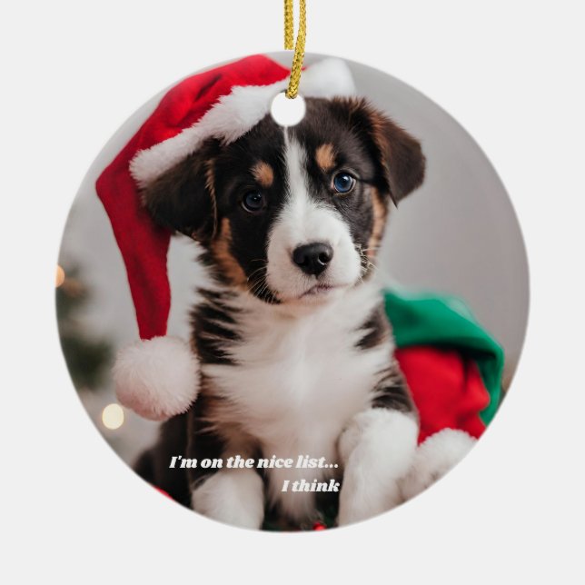 Personalized Christmas Pet Photo Ceramic Ornament (Front)