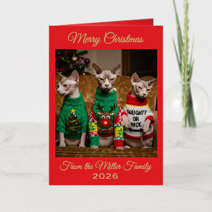 Personalized Christmas Sphynx Cats Funny Photo Foil Greeting Card