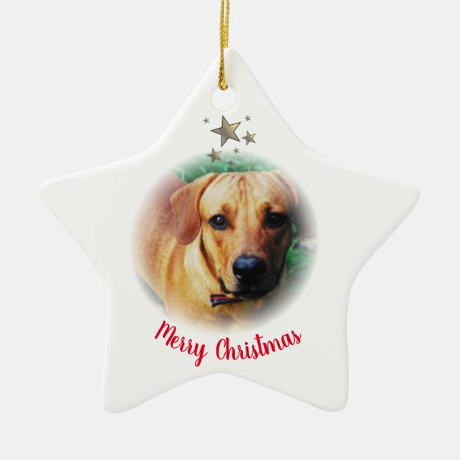 Personalized Christmas Star Shaped Ornament (Front)