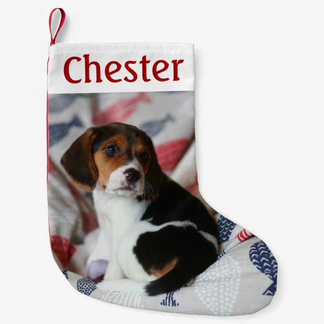 Personalized Christmas Stocking with Pet Photo  (Front)