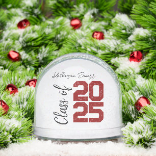 Personalized Class of 2026,A Timeless Graduation  Snow Globe
