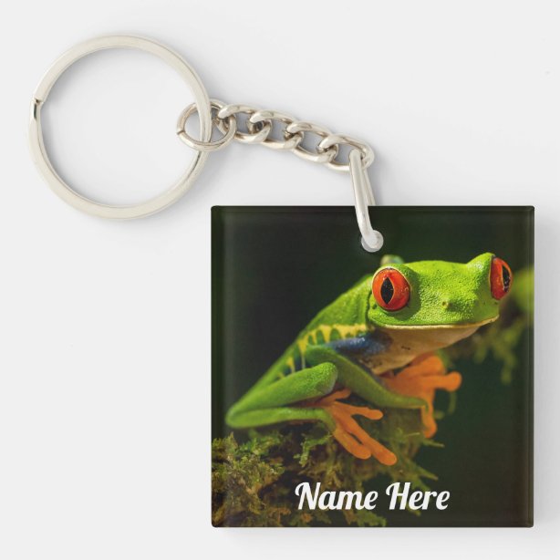 Frog Keychains No Minimum Quantity Zazzle