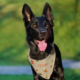 Personalized Colorful Autumn Leaves Pet Bandana Collar