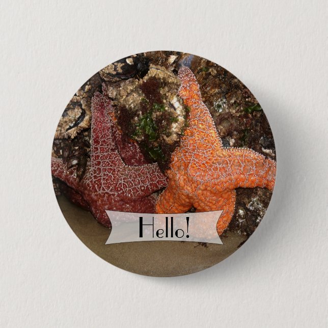 Personalized Colorful Starfish/Sea Star Photo 3 Pinback Button (Front)