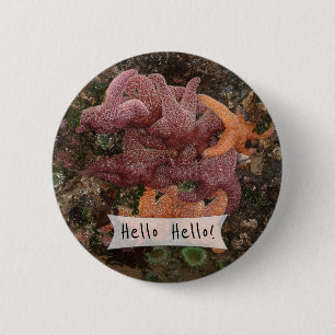Personalized Colorful Starfish/Sea Star Photo 5 Pinback Button