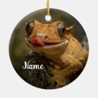 Personalized Crested Gecko Lizard