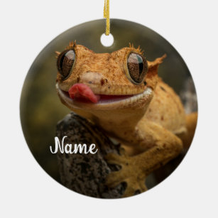 Personalized Crested Gecko Lizard Ceramic Ornament