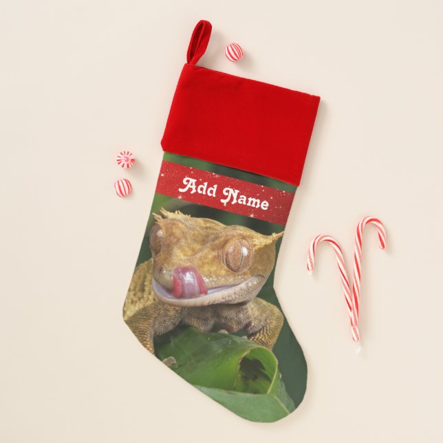 Personalized Crested Gecko Lizard Christmas Stocking (Front)