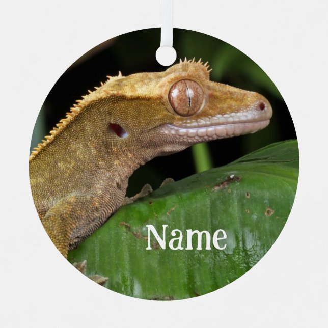 Personalized Crested Gecko Lizard Metal Ornament (Front)