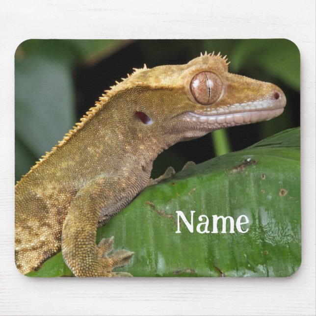 Personalized Crested Gecko Pet Lizard Mouse Pad (Front)