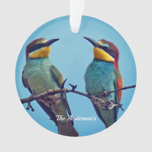 Personalized Custom Colorful Birds Photo Ornament