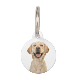 Personalized Custom Dog Pet ID Tag
