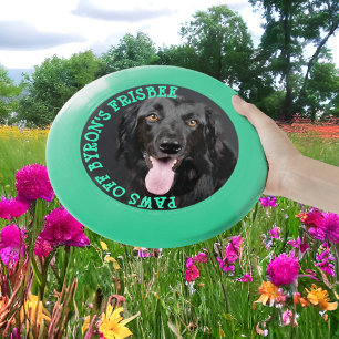 Personalized Custom Dog Photo & Name Toy Frisbee