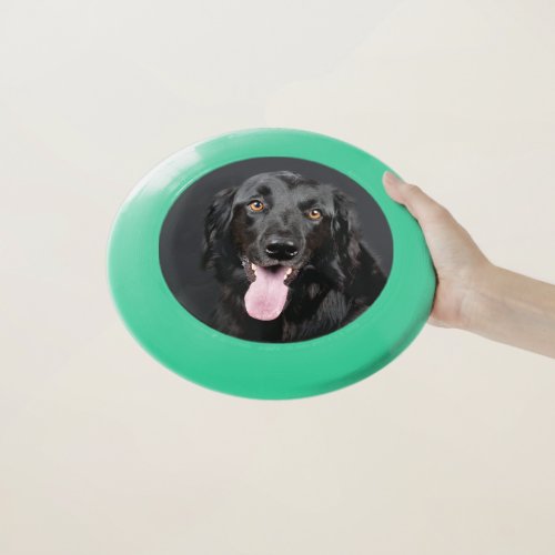 Personalized Custom Dog Photo Toy Frisbee green