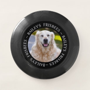 never forget frisbee dog