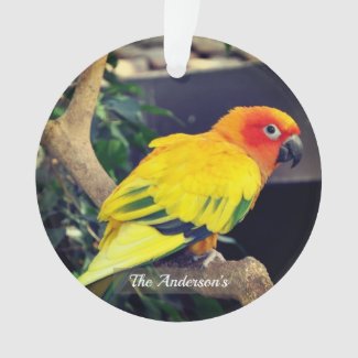 Personalized Custom Lovebird Photo