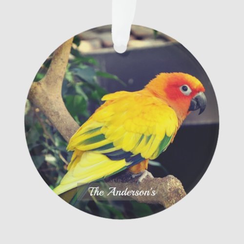 Personalized Custom Lovebird Photo Ornament