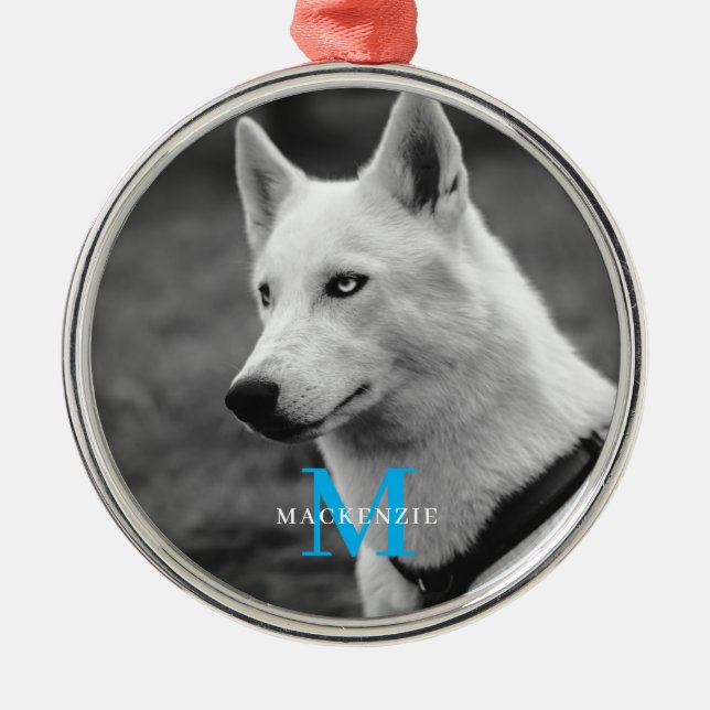 Personalized Custom Monogram Elegant Dog Pet Photo Metal Ornament (Front)