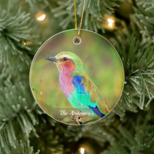Personalized Custom Multicolor Bird Photo Ceramic Ornament