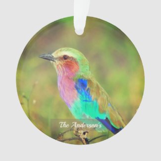 Personalized Custom Multicolor Bird Photo