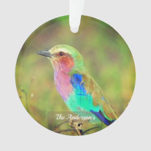 Personalized Custom Multicolor Bird Photo Ornament
