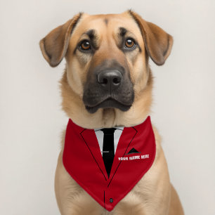 Personalized Custom Name Funny Pet Bandana Collar