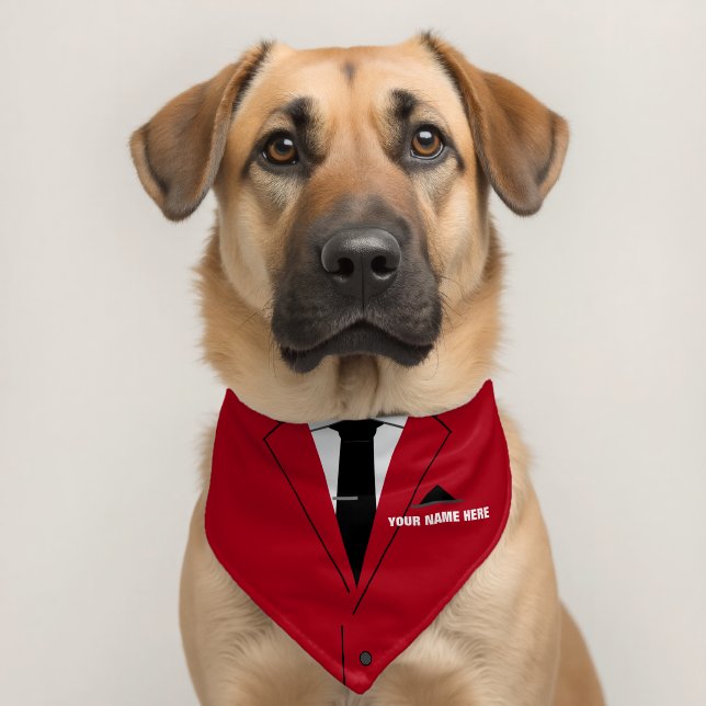 Personalized Custom Name Funny Pet Bandana Collar (Dog 2)