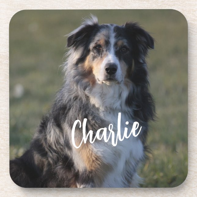 Personalized Custom Pet Dog Photo Pillow Beverage Coaster (Front)