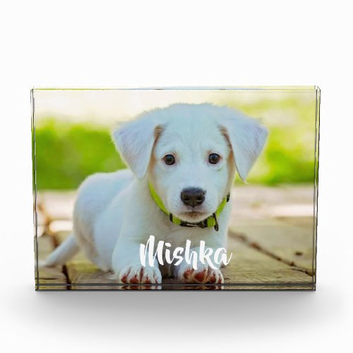 Personalized custom pet photo 