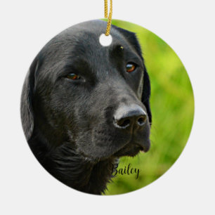 Personalized Custom Pet  Photo and Name  Ceramic Ornament
