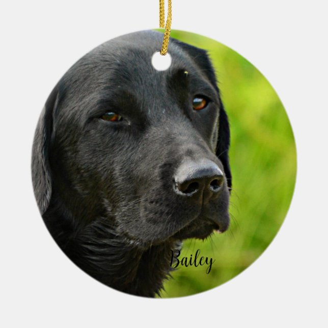 Personalized Custom Pet  Photo and Name  Ceramic Ornament (Front)