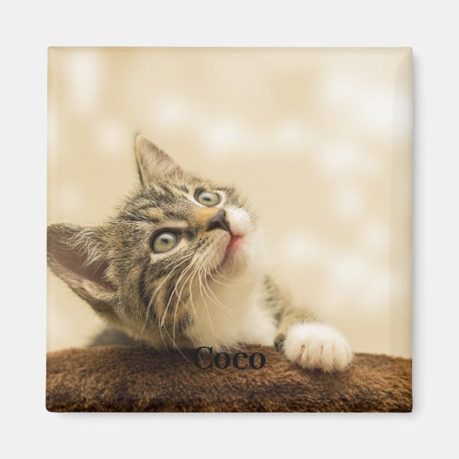Personalized Custom Pet Photo and Text Magnet (Front)