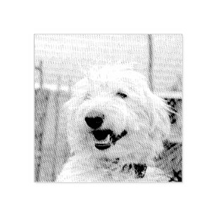 Personalized Custom Pet Photo Etched Style Rubber Stamp