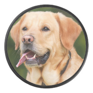  Personalized Custom Pet Photo Hockey Puck
