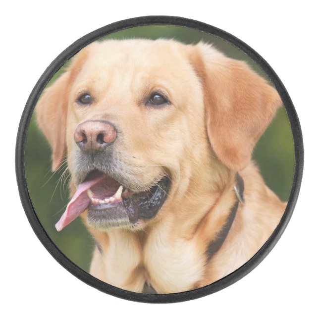  Personalized Custom Pet Photo Hockey Puck (Front)