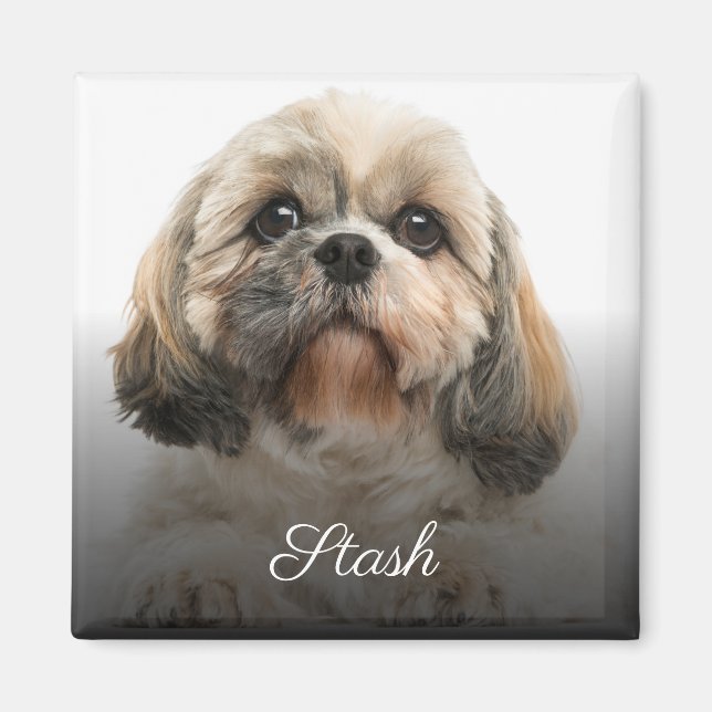 Personalized Custom Pet Photo Magnet (Front)
