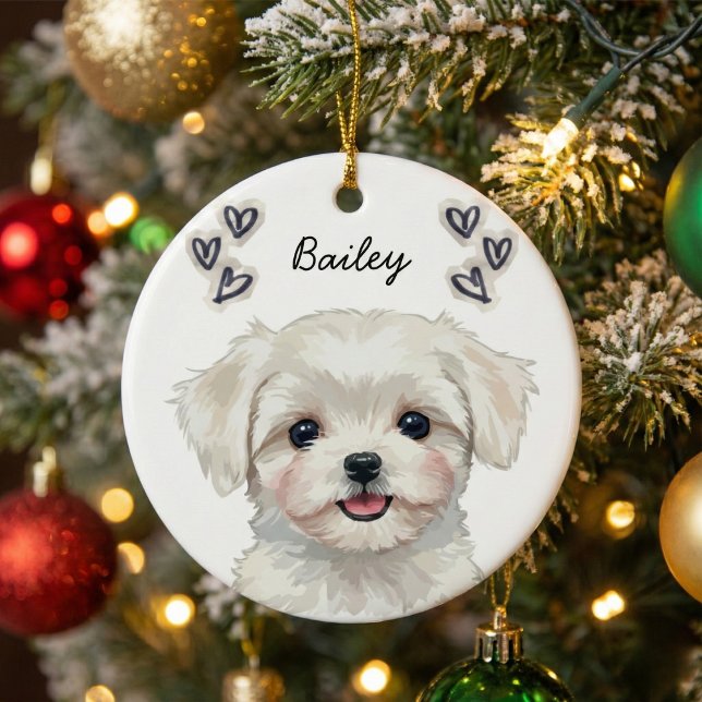 Personalized Custom Pet Photo Name Keepsake Ceramic Ornament (Creator Uploaded)