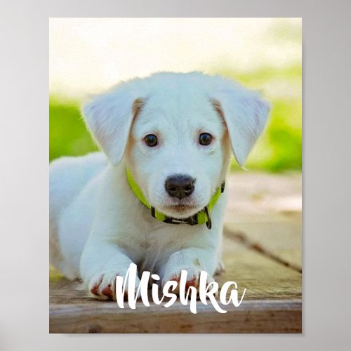 Personalized custom pet photo  poster