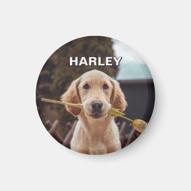 Personalized Custom Photo And Text Magnet (Front)