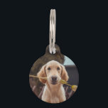Personalized Custom Photo And Text Pet ID Tag<br><div class="desc">Add your own photo and text Personalized DIY customizable dog tag</div>