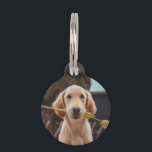 Personalized Custom Photo And Text Pet ID Tag<br><div class="desc">Add your own photo and text Personalized DIY customizable dog tag</div>