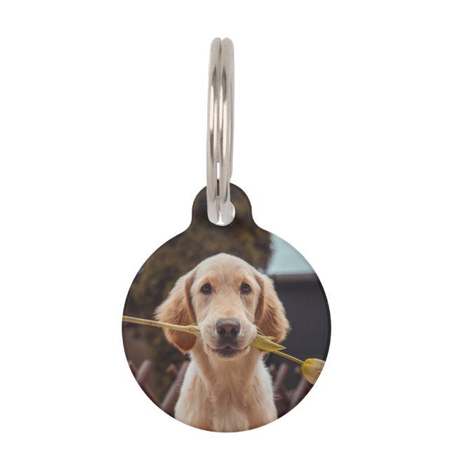 Personalized Custom Photo And Text Pet ID Tag (Front)