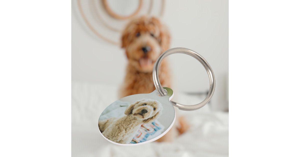 Funny Pet Id Tag Dog Tags for Dogs Personalized Funny Pet Tag Dog Name Tag  Pet Tags Custom Id Tags Funny Id Tag Small Pet Tag Mature Humor 
