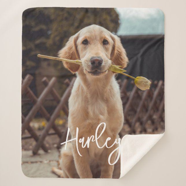 Personalized Custom Photo And Text Sherpa Blanket (Front)