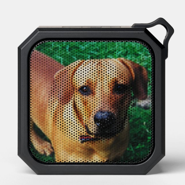 Personalized Custom Photo Bluetooth Speaker (Front)